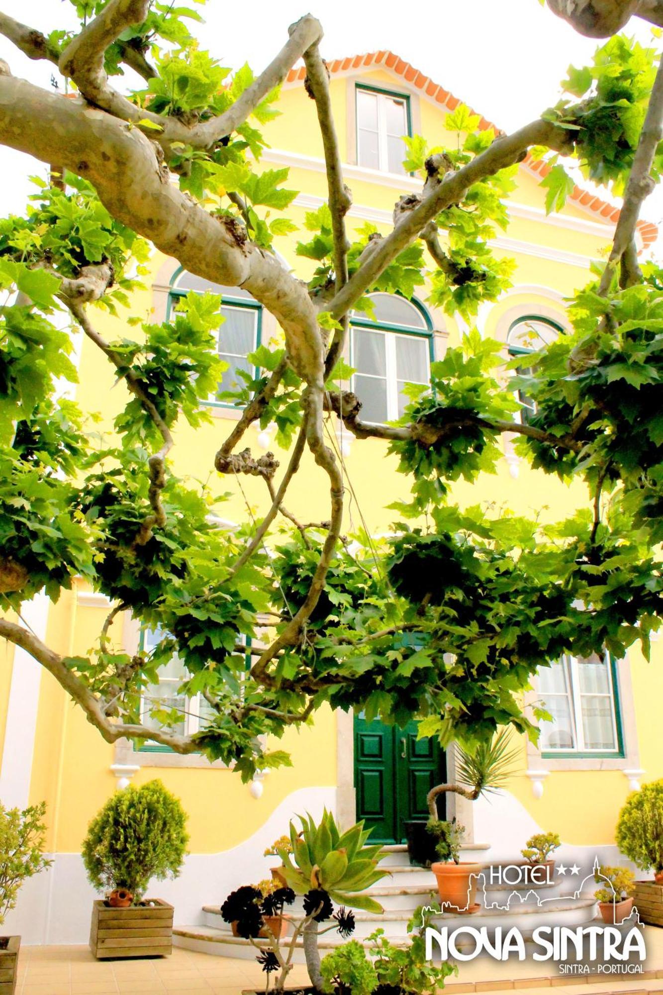 Hotel Nova Sintra Exteriér fotografie